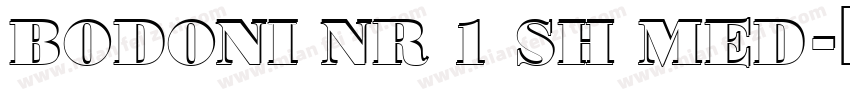 Bodoni NR 1 SH Med字体转换